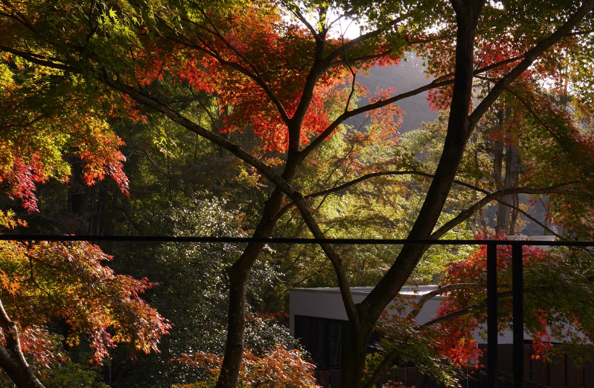 季節の風景