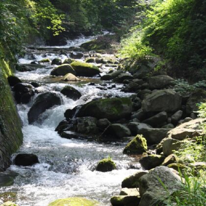 季節の風景