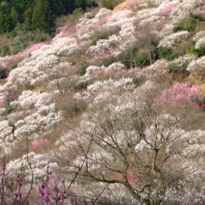 季節の風景