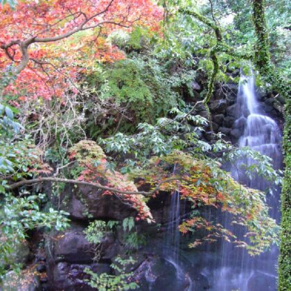 季節の風景