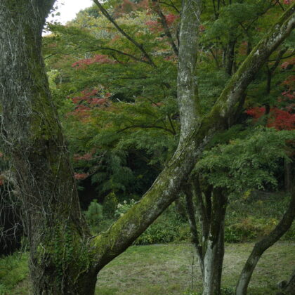 季節の風景